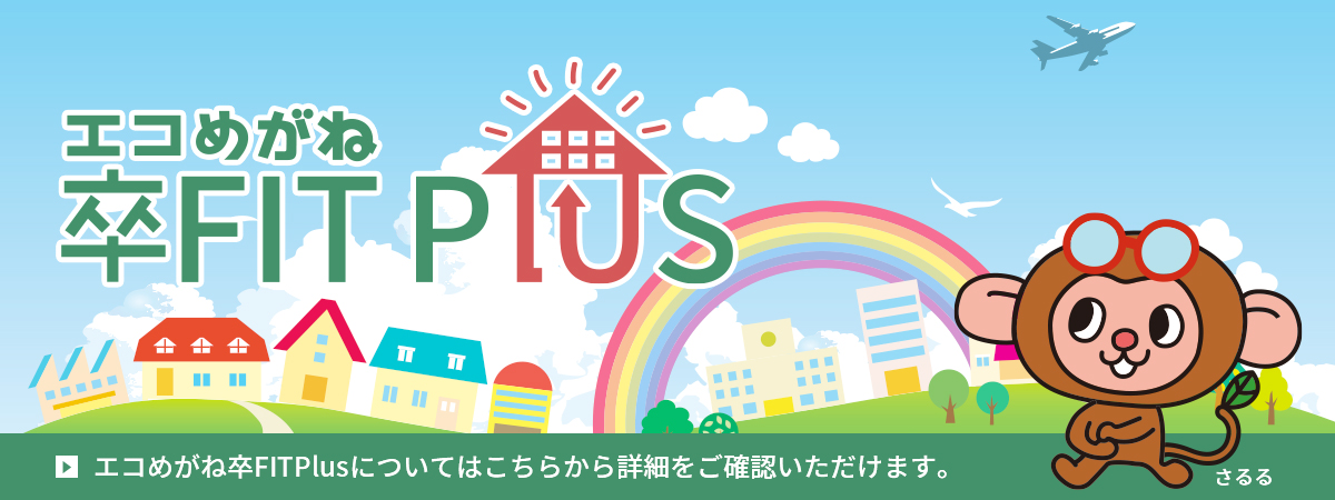 エコめがね卒FIT Plusについて